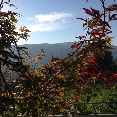 Douro Vally 住宿加早餐酒店